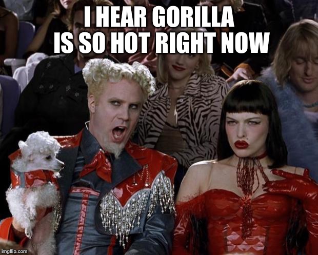 Mugatu So Hot Right Now | I HEAR GORILLA IS SO HOT RIGHT NOW | image tagged in memes,mugatu so hot right now | made w/ Imgflip meme maker