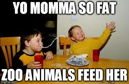 yo momma so fat | YO MOMMA SO FAT; ZOO ANIMALS FEED HER | image tagged in yo momma so fat,zoo,memes,funny memes | made w/ Imgflip meme maker