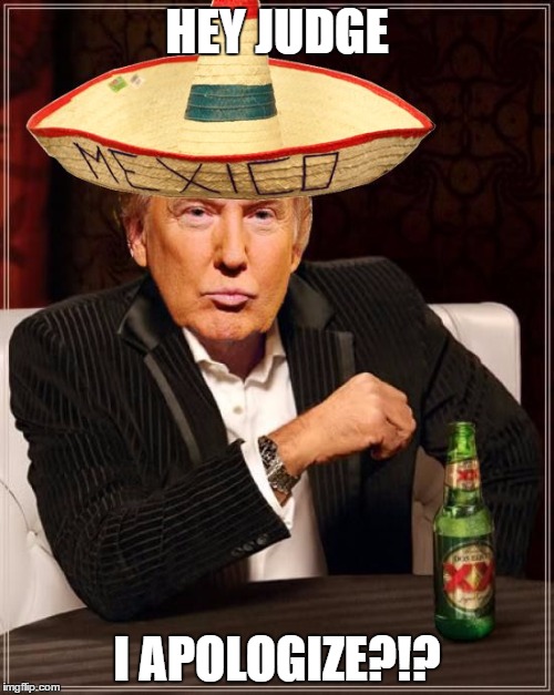 Trump Interesting Sombrero | HEY JUDGE; I APOLOGIZE?!? | image tagged in trump interesting sombrero | made w/ Imgflip meme maker