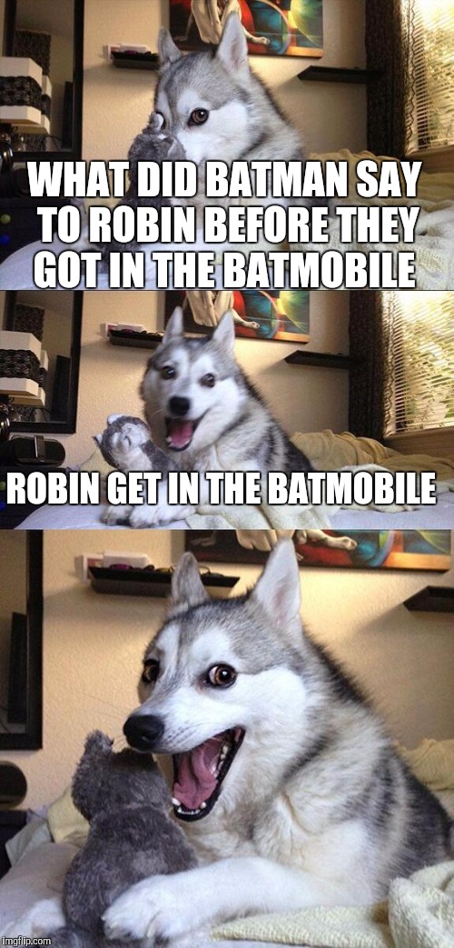 Bad Pun Dog Meme | WHAT DID BATMAN SAY TO ROBIN BEFORE THEY GOT IN THE BATMOBILE; ROBIN GET IN THE BATMOBILE | image tagged in memes,bad pun dog | made w/ Imgflip meme maker