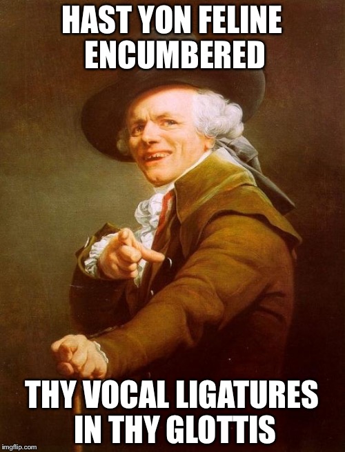 Speak up man! What's that cat doing to you? | HAST YON FELINE ENCUMBERED; THY VOCAL LIGATURES IN THY GLOTTIS | image tagged in memes,joseph ducreux | made w/ Imgflip meme maker