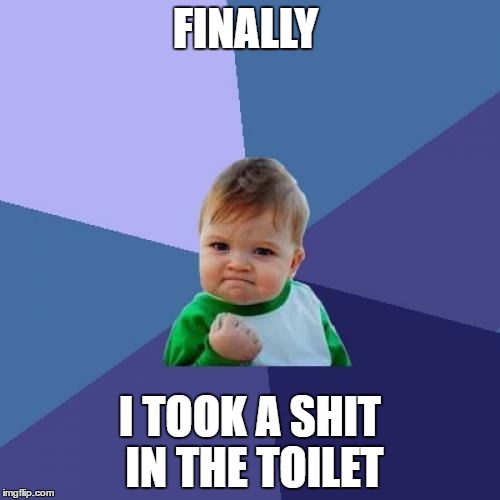 Success Kid Meme | FINALLY; I TOOK A SHIT IN THE TOILET | image tagged in memes,success kid | made w/ Imgflip meme maker