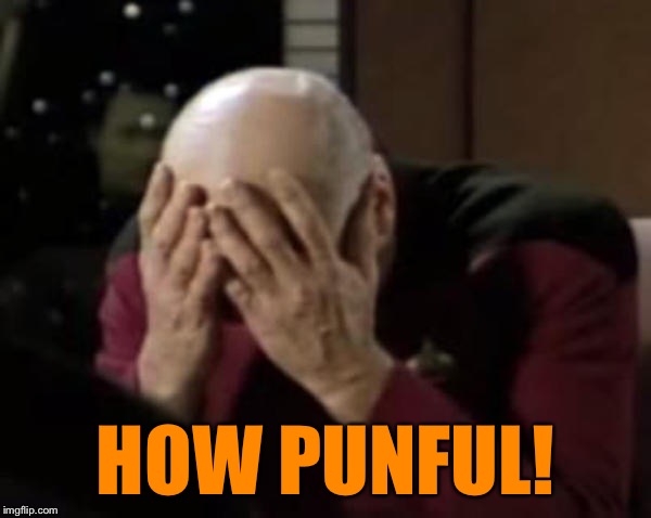 Picard Double Facepalm | HOW PUNFUL! | image tagged in picard double facepalm | made w/ Imgflip meme maker