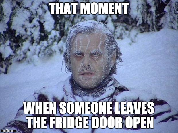 That moment when... | THAT MOMENT; WHEN SOMEONE LEAVES THE FRIDGE DOOR OPEN | image tagged in memes,jack nicholson the shining snow,cold,fridge | made w/ Imgflip meme maker