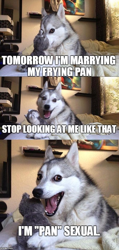 Bad Pun Dog Meme | TOMORROW I'M MARRYING MY FRYING PAN; STOP LOOKING AT ME LIKE THAT; I'M "PAN" SEXUAL. | image tagged in memes,bad pun dog | made w/ Imgflip meme maker