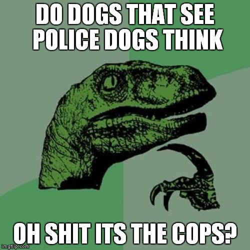 Philosoraptor | DO DOGS THAT SEE POLICE DOGS THINK; OH SHIT ITS THE COPS? | image tagged in memes,philosoraptor,nsfw | made w/ Imgflip meme maker