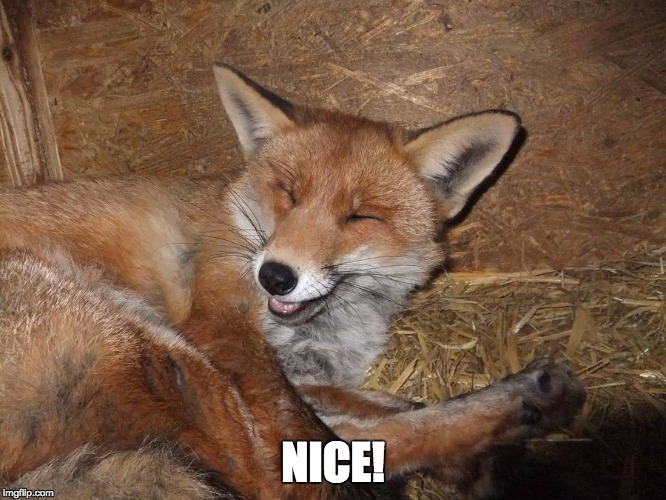 NICE! | made w/ Imgflip meme maker