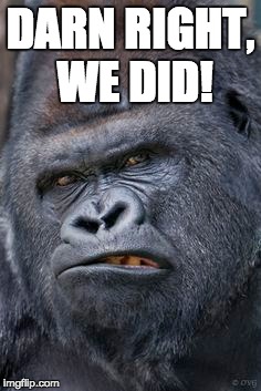DARN RIGHT, WE DID! | made w/ Imgflip meme maker