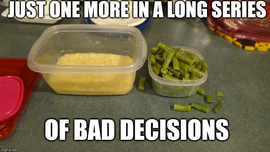 bad decisions | JUST ONE MORE IN A LONG SERIES; OF BAD DECISIONS | image tagged in bad decision | made w/ Imgflip meme maker
