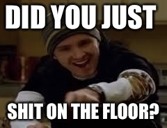 Breaking Bad | DID YOU JUST; SHIT ON THE FLOOR? | image tagged in breaking bad,memes,funny | made w/ Imgflip meme maker