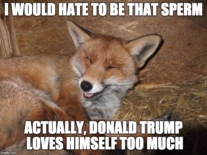 I WOULD HATE TO BE THAT SPERM ACTUALLY, DONALD TRUMP LOVES HIMSELF TOO MUCH | made w/ Imgflip meme maker