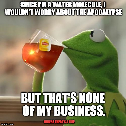 But That's None Of My Business Meme | SINCE I'M A WATER MOLECULE, I WOULDN'T WORRY ABOUT THE APOCALYPSE BUT THAT'S NONE OF MY BUSINESS. UNLESS THERE'S A FIRE | image tagged in memes,but thats none of my business,kermit the frog | made w/ Imgflip meme maker