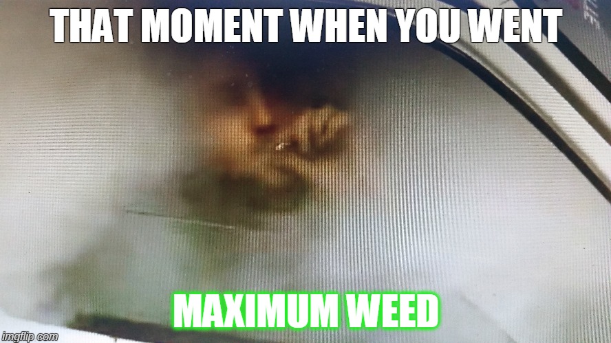 MAXIMUM WEED | THAT MOMENT WHEN YOU WENT; MAXIMUM WEED | image tagged in funny,memes,weed,smoking weed,funny memes | made w/ Imgflip meme maker