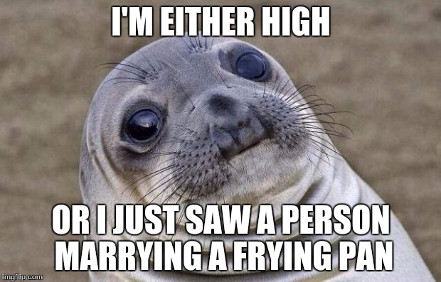 Awkward Moment Sealion Meme | I'M EITHER HIGH OR I JUST SAW A PERSON MARRYING A FRYING PAN | image tagged in memes,awkward moment sealion | made w/ Imgflip meme maker