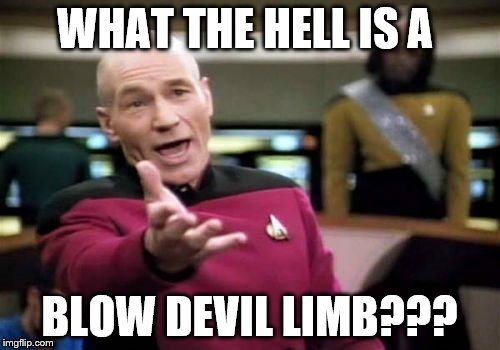Picard Wtf Meme | WHAT THE HELL IS A BLOW DEVIL LIMB??? | image tagged in memes,picard wtf | made w/ Imgflip meme maker