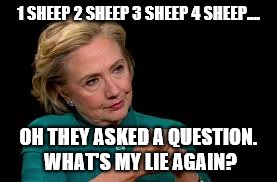 1 SHEEP 2 SHEEP 3 SHEEP 4 SHEEP.... OH THEY ASKED A QUESTION. WHAT'S MY LIE AGAIN? | image tagged in hillary clinton | made w/ Imgflip meme maker