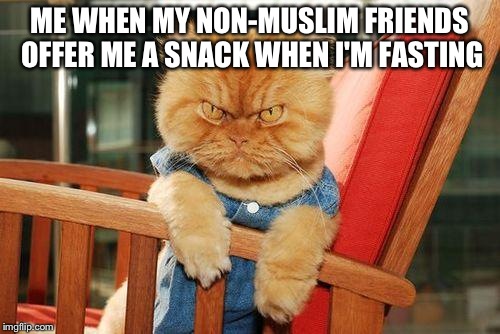 This is true they never understand. 
Has this happened to anyone? | ME WHEN MY NON-MUSLIM FRIENDS OFFER ME A SNACK WHEN I'M FASTING | image tagged in mad cat | made w/ Imgflip meme maker