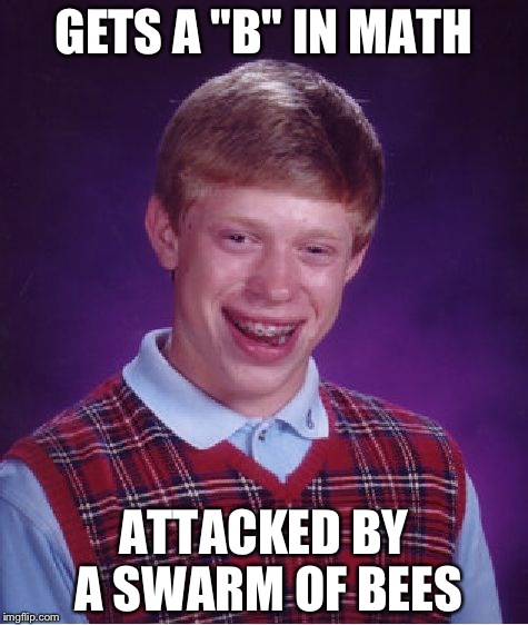 Bad Luck Brian Meme | GETS A "B" IN MATH; ATTACKED BY A SWARM OF BEES | image tagged in memes,bad luck brian | made w/ Imgflip meme maker