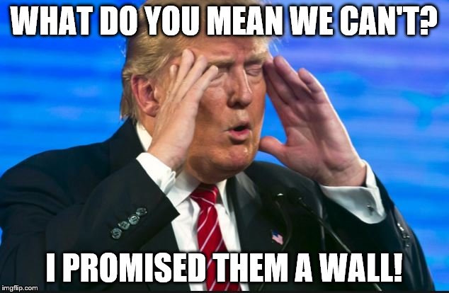 WHAT DO YOU MEAN WE CAN'T? I PROMISED THEM A WALL! | image tagged in donald trump | made w/ Imgflip meme maker