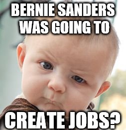Skeptical Baby Meme | BERNIE SANDERS WAS GOING TO CREATE JOBS? | image tagged in memes,skeptical baby | made w/ Imgflip meme maker