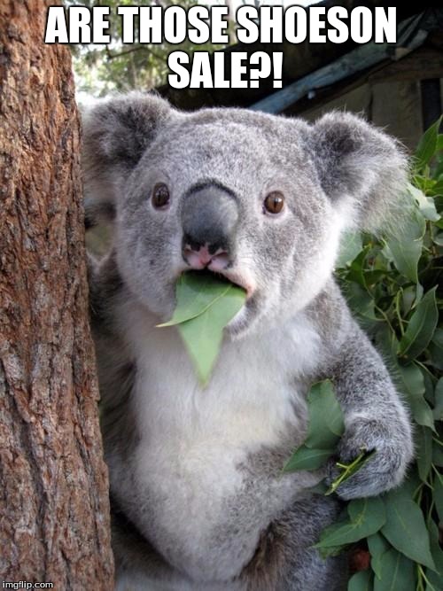 Surprised Koala Meme | ARE THOSE SHOESON SALE?! | image tagged in memes,surprised koala | made w/ Imgflip meme maker