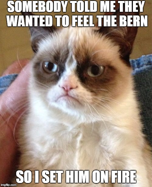 Grumpy Cat | SOMEBODY TOLD ME THEY WANTED TO FEEL THE BERN; SO I SET HIM ON FIRE | image tagged in memes,grumpy cat | made w/ Imgflip meme maker