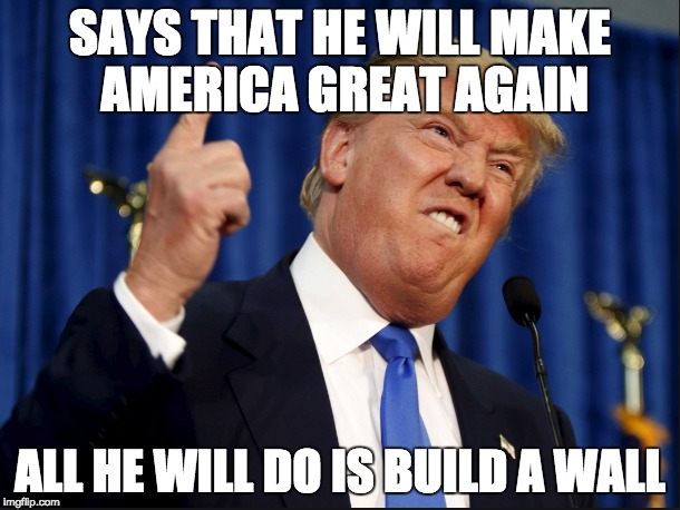 What Trump Will Do | SAYS THAT HE WILL MAKE AMERICA GREAT AGAIN; ALL HE WILL DO IS BUILD A WALL | image tagged in donald trump,donald trump pointing,donald trump meme | made w/ Imgflip meme maker