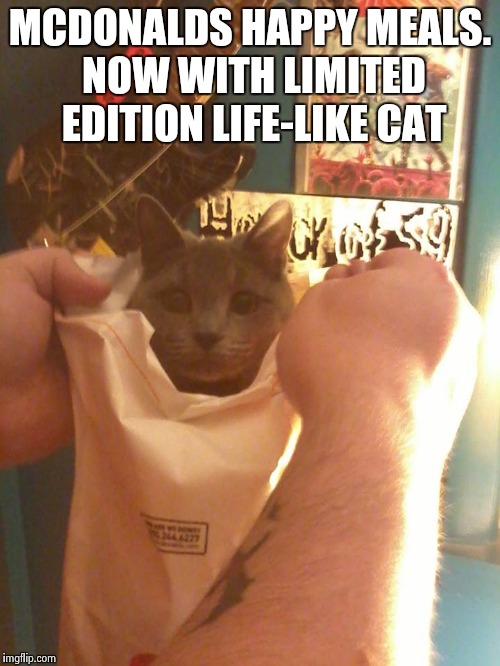 Let the cat out of the bag | MCDONALDS HAPPY MEALS. NOW WITH LIMITED EDITION LIFE-LIKE CAT | image tagged in mcdonalds,funny,memes,cats | made w/ Imgflip meme maker
