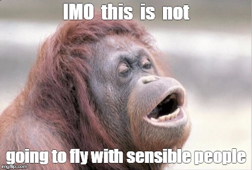 Monkey OOH | IMO  this  is  not; going to fly with sensible people | image tagged in memes,monkey ooh | made w/ Imgflip meme maker