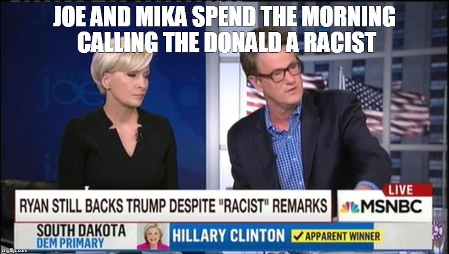 JOE AND MIKA SPEND THE MORNING CALLING THE DONALD A RACIST | image tagged in The_Donald | made w/ Imgflip meme maker