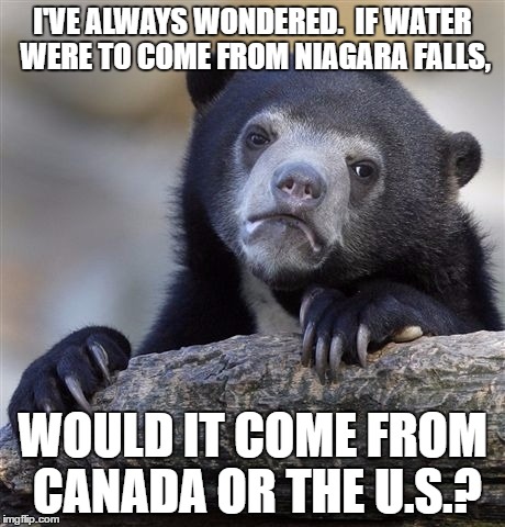 Just Taught You Some Geography | I'VE ALWAYS WONDERED. 
IF WATER WERE TO COME FROM NIAGARA FALLS, WOULD IT COME FROM CANADA OR THE U.S.? | image tagged in memes,confession bear | made w/ Imgflip meme maker