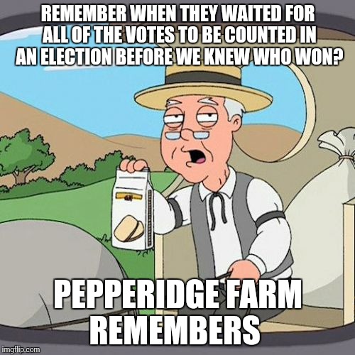 Pepperidge Farm Remembers | REMEMBER WHEN THEY WAITED FOR ALL OF THE VOTES TO BE COUNTED IN AN ELECTION BEFORE WE KNEW WHO WON? PEPPERIDGE FARM REMEMBERS | image tagged in memes,pepperidge farm remembers,trump 2016,hillary clinton  bernie sanders | made w/ Imgflip meme maker