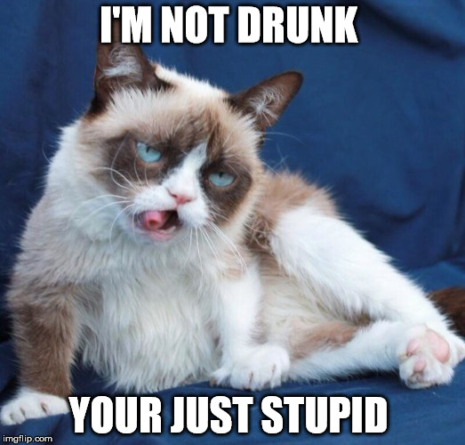 Grumpy cat drunk  | I'M NOT DRUNK; YOUR JUST STUPID | image tagged in grumpy cat drunk | made w/ Imgflip meme maker