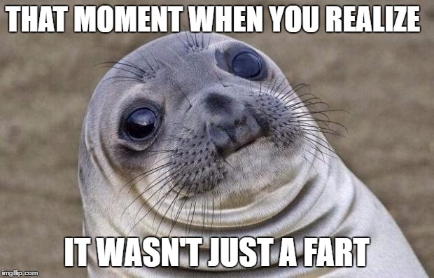 Awkward Moment Sealion Meme | THAT MOMENT WHEN YOU REALIZE; IT WASN'T JUST A FART | image tagged in memes,awkward moment sealion | made w/ Imgflip meme maker