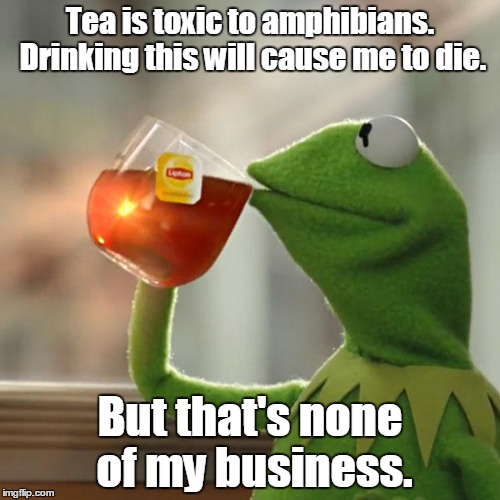 But That's None Of My Business | Tea is toxic to amphibians. Drinking this will cause me to die. But that's none of my business. | image tagged in memes,but thats none of my business,kermit the frog | made w/ Imgflip meme maker