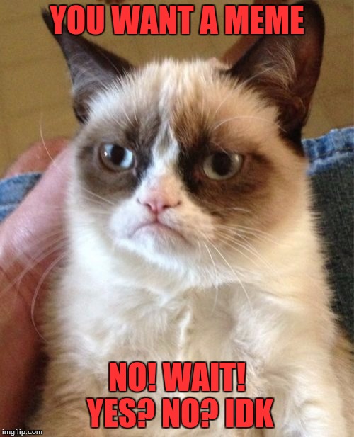 Grumpy Cat | YOU WANT A MEME; NO! WAIT! YES? NO? IDK | image tagged in memes,grumpy cat | made w/ Imgflip meme maker