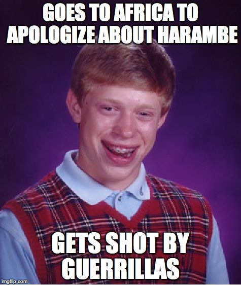 Bad Luck Brian | GOES TO AFRICA TO APOLOGIZE ABOUT HARAMBE; GETS SHOT BY GUERRILLAS | image tagged in memes,bad luck brian | made w/ Imgflip meme maker