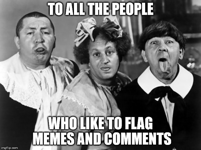 The Three Stooges | TO ALL THE PEOPLE; WHO LIKE TO FLAG MEMES AND COMMENTS | image tagged in the three stooges | made w/ Imgflip meme maker