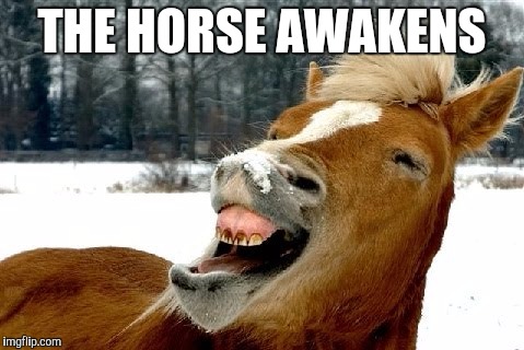 THE HORSE AWAKENS | image tagged in star wars,horse,funny | made w/ Imgflip meme maker