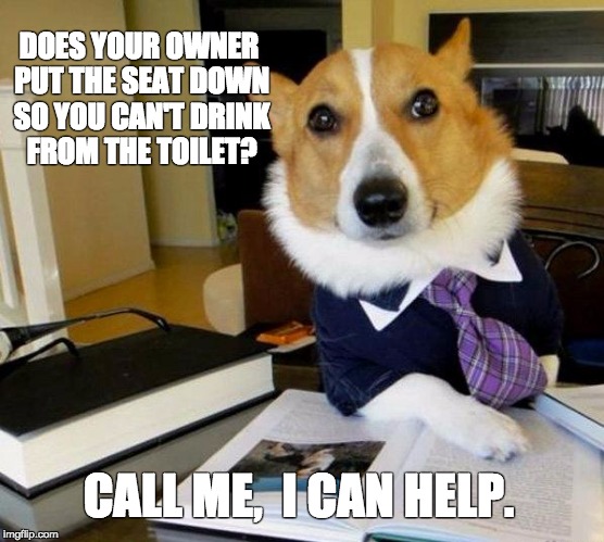 Lawyer dog | DOES YOUR OWNER PUT THE SEAT DOWN SO YOU CAN'T DRINK FROM THE TOILET? CALL ME,  I CAN HELP. | image tagged in lawyer dog | made w/ Imgflip meme maker