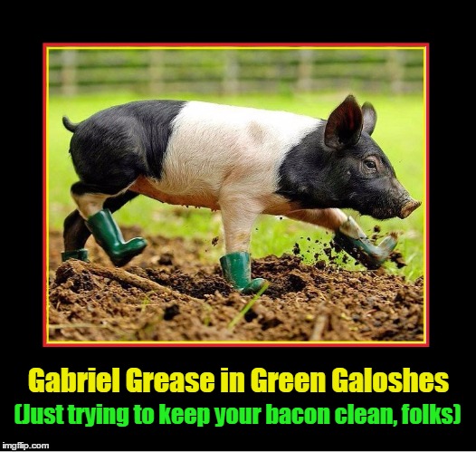 Gabriel Grease in Green Galoshes | Gabriel Grease in Green Galoshes; (Just trying to keep your bacon clean, folks) | image tagged in bacon,keeping bacon clean,vince vance,pig wearing shoes,pig wearing boots,bacon meme | made w/ Imgflip meme maker