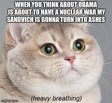 Heavy Breathing Cat Meme | WHEN YOU THINK ABOUT OBAMA IS ABOUT TO HAVE A NUCLEAR WAR MY SANDVICH IS GONNA TURN INTO ASHES | image tagged in memes,heavy breathing cat | made w/ Imgflip meme maker