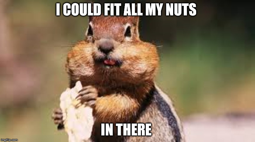 I COULD FIT ALL MY NUTS IN THERE | made w/ Imgflip meme maker
