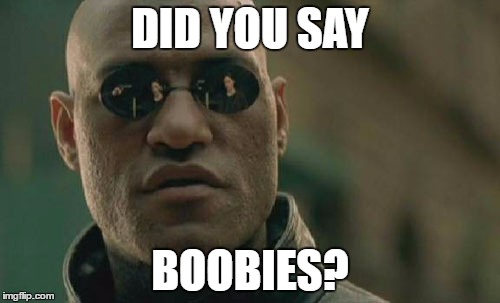 Matrix Morpheus Meme | DID YOU SAY; BOOBIES? | image tagged in memes,matrix morpheus | made w/ Imgflip meme maker