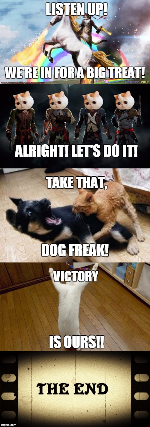 The Cat Warriors!! |  LISTEN UP! WE'RE IN FOR A BIG TREAT! ALRIGHT! LET'S DO IT! TAKE THAT, DOG FREAK! VICTORY; IS OURS!! | image tagged in memes,awesome,awesomeness,cool,cat,assassins | made w/ Imgflip meme maker
