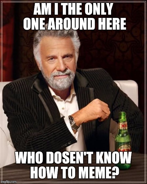 The Most Interesting Man In The World Meme | AM I THE ONLY ONE AROUND HERE; WHO DOSEN'T KNOW HOW TO MEME? | image tagged in memes,the most interesting man in the world | made w/ Imgflip meme maker