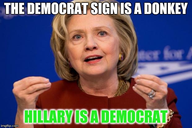 Hillary Clinton | THE DEMOCRAT SIGN IS A DONKEY; HILLARY IS A DEMOCRAT | image tagged in hillary clinton | made w/ Imgflip meme maker