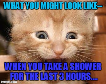 Excited Cat | WHAT YOU MIGHT LOOK LIKE--; WHEN YOU TAKE A SHOWER FOR THE LAST 3 HOURS.... | image tagged in memes,excited cat | made w/ Imgflip meme maker