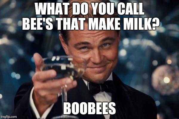 Leonardo Dicaprio Cheers | WHAT DO YOU CALL BEE'S THAT MAKE MILK? BOOBEES | image tagged in memes,leonardo dicaprio cheers | made w/ Imgflip meme maker