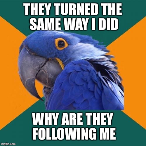 Paranoid Parrot Meme | THEY TURNED THE SAME WAY I DID; WHY ARE THEY FOLLOWING ME | image tagged in memes,paranoid parrot | made w/ Imgflip meme maker